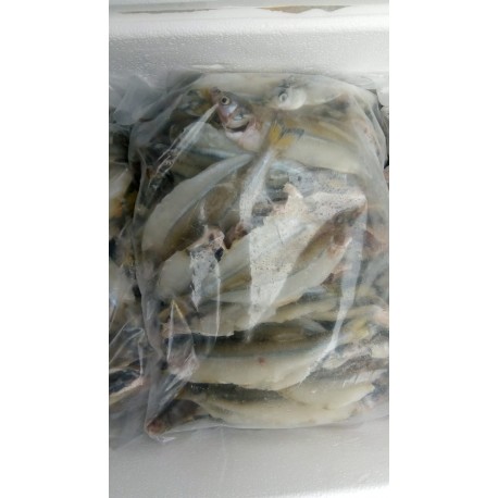 FILETE PEJERREY CON CABEZA Y COLA CRUDO 1 KG