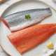 fil salmon c/p y s /e crudo