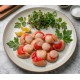 CORAL DE OSTION 1 KG