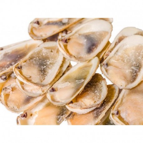 machas media concha cru