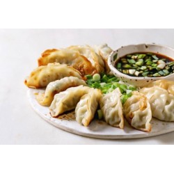 Gyoza diferentes