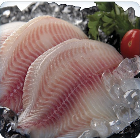 filete tilapia s/p y s/e crudo